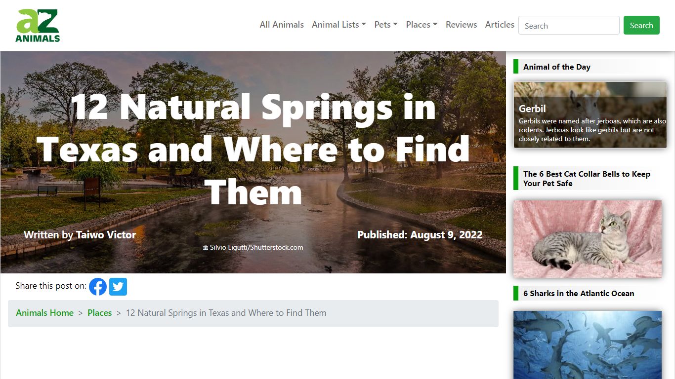 12 Natural Springs in Texas and Where to Find Them